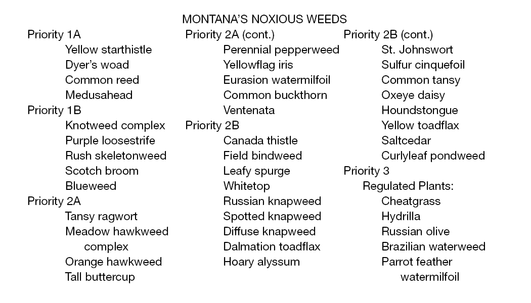 Business Card Template Montana Department of Agriculture Noxious Weeds Option 2 Back