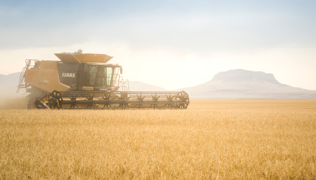 Business Card Template Montana Department of Agriculture Wheat and Barley Committee Option 3 Back