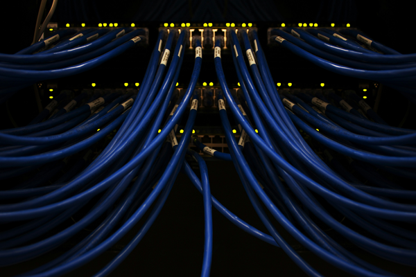 A computer server with about three dozen networking cables plugged into it